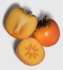 Persimmon-oliv2.jpg