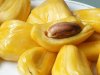 20080818jackfruit.jpg