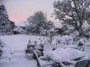 garden snow 2010 001.jpg