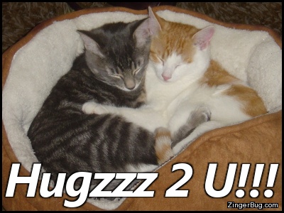 hugzzz_2_u_hugging_kittens.jpg